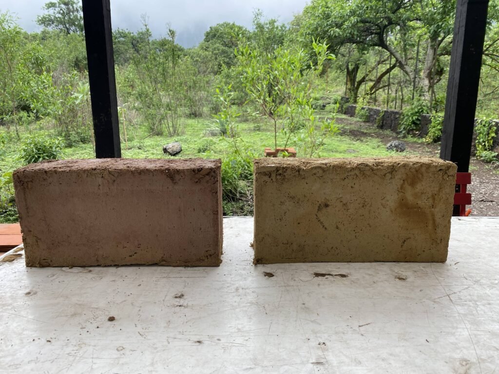 Ladrillo Sugarcrete Delfin y Arnaus