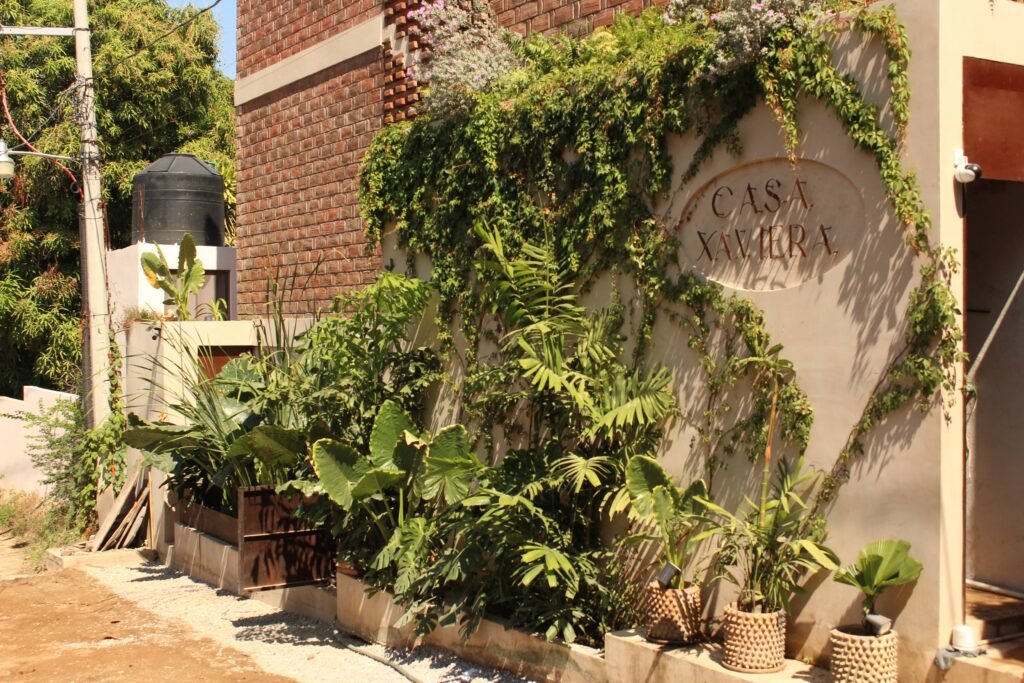 Casa Xaviera Tratamiento Plantas