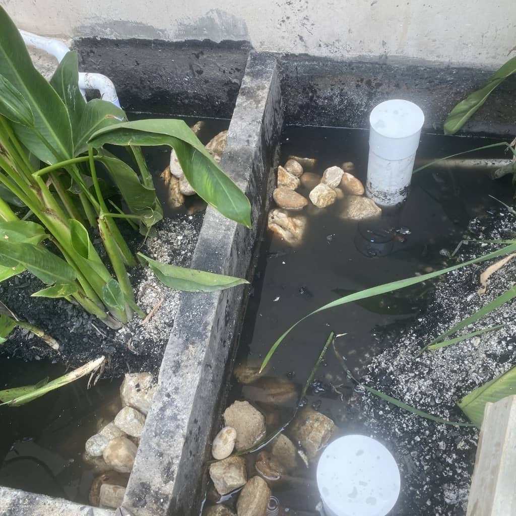 ptar-xaviera-proceso-plantas