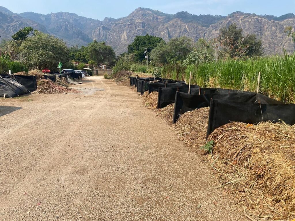 Diseño Parcela Terminado 4